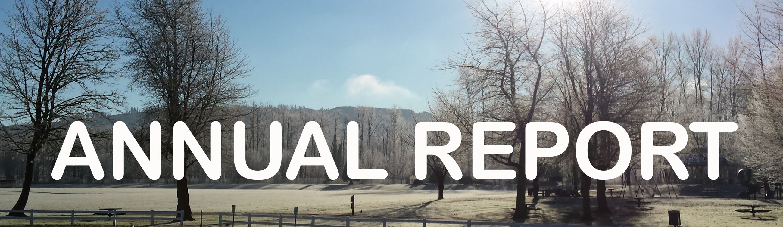 Annual Report Website Header