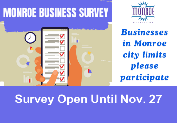 Business Survey Graphic 
