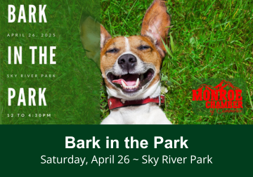 Newsflash image for Bark in the Park event.