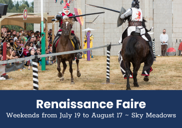 Image from past Renaissance Faire event