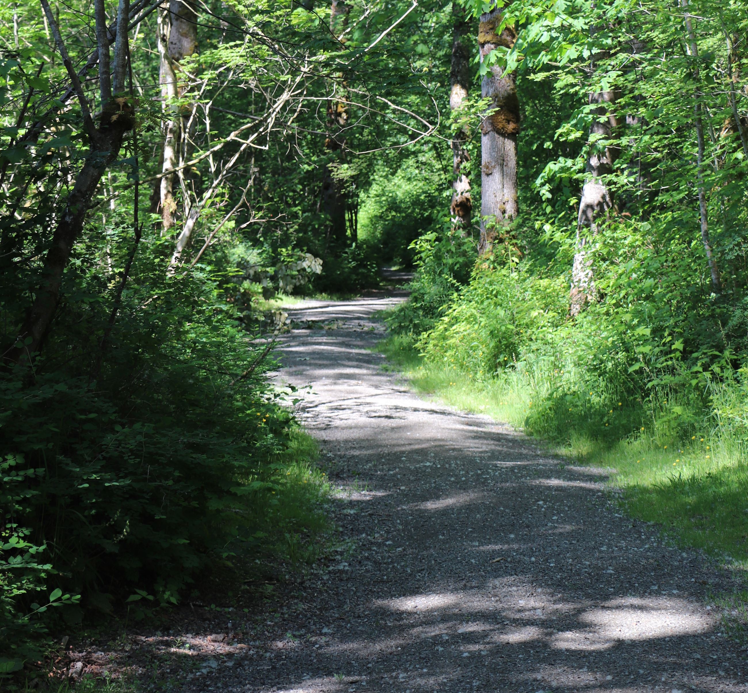 Al Borlin Park Trail